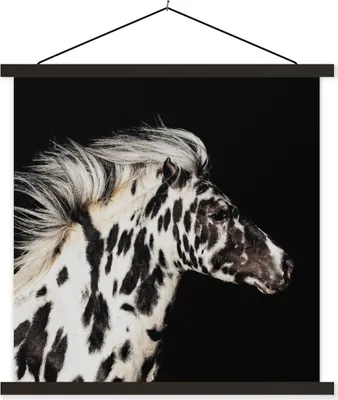 Produktbild von MuchoWow® Textilposter Pferd - Punkte - Tier 40x40 cm mit schwarzem Rahmen - Fotos