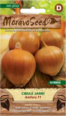Obrázek produktu pro Cibule jarní AMFORA F1 - hybrid, žlutá 60822