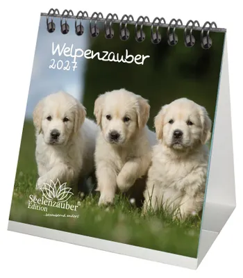 Produktbild von Welpenzauber Tischkalender 10x10cm für 2027 Hunde Welpen - Seelenzauber