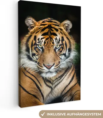 Produktbild von MuchoWow® - Leinwandbilder - Tiger - Schwarz, Wandbild, Wanddeko Bilder Wohnzimmer, 60x90 cm