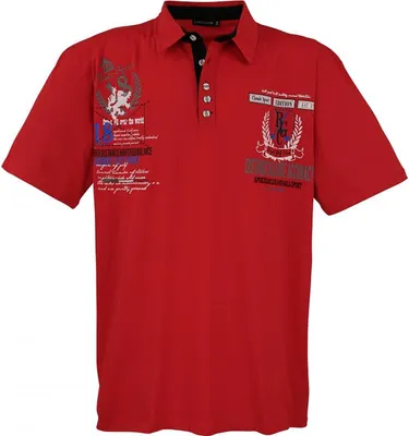 Productafbeelding van Overgroot, trendy polo-shirt met korte mouwen, merk LAVECCHIA, kleur antraciet, maat 4XL