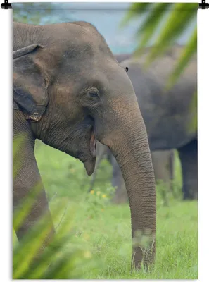 Produktbild von MuchoWow® Wandteppich Wandbehang Elefant - Palme - Tiere 90x135 cm Tapisserie Dekoration Wandtuch - Baumwolle - Wandskulptur