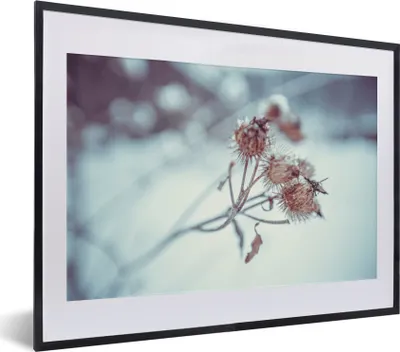 Produktbild von MuchoWow® Gerahmtes Poster Pflanzen - Winter - Schnee - Natur 40x30 cm - Poster mit Schwarzem Bilderrahmen Wandposter Rahmen Foto Bilder - Bilderrahmen - Poster im Rahmen