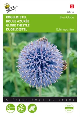 Produktbild von Kugeldistel Blue Globe | Distelsamen von Buzzy Seeds