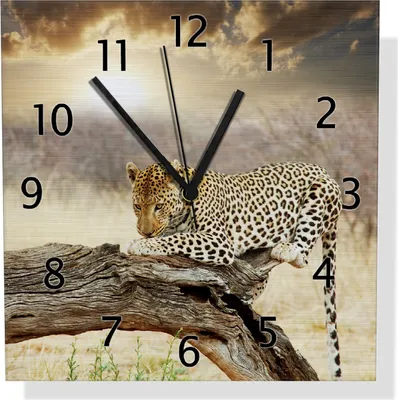 Produktbild von Wallario Design Wanduhr Leopard auf Baumstamm in Afrika aus Aluverbund, Größe 30 x 30 cm
