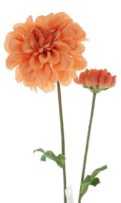Produktbild von GASPER Dahlie Pfirsich 63 cm - Kunstblumen