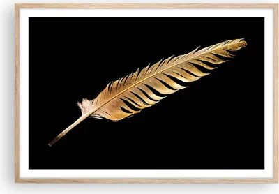 Produktbild von Gerahmtes Poster - Rahmen in heller Eiche - Golden Feder Schwarz - 91,5x61 cm - Wand Bild - Wanddeko - Wandbilder - Kunstposter - Wandposter - Bilderrahmen - Bilder - Kunstdruck - P2NAA91x61-4887