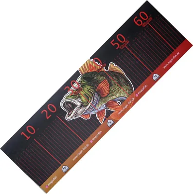 Produktbild von Major Fish Fisch Maßband Barsch Ruler 65 cm x 20 cm mit Anschlag