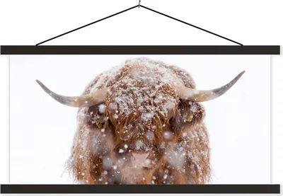 Produktbild von MuchoWow® Textilposter Schottisches Hochlandrind - Hörner - Schnee 90x45 cm mit schwarzem Rahmen - Klemmleisten