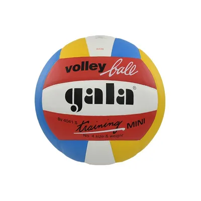 Productafbeelding van Volleybalbaltraining Mini Kleur Bv4041s