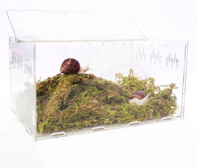 Produktbild von Solidchoice – Set für das Aquarium mit Schnecken, Moos und Spielzeug für Fische