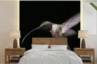 Produktbild von MuchoWow® Fototapete für Wohnzimmer oder Schlafzimmer Wandtapete Vinyl Motivtapete Kolibri - Vogel - Federn - 300x300 cm - Wanddekoration