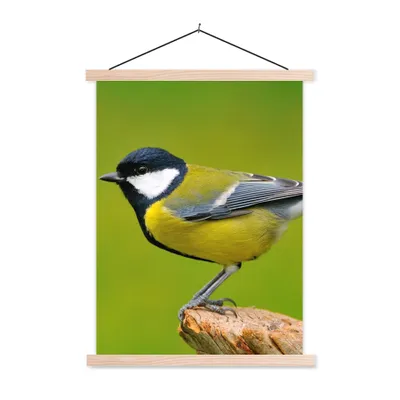 Produktbild von MuchoWow® Textilposter Vogel - Kohlmeise - Tiere - Grün 60x80 cm mit holzfarbenen Rahmen - Wandbild