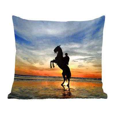 Produktbild von MuchoWow® Zierkissen Sofakissen Wohnzimmer Dekokissen 60x60 cm Pferd - Himmel - Schatten - Sitzfläche - Foto Polster