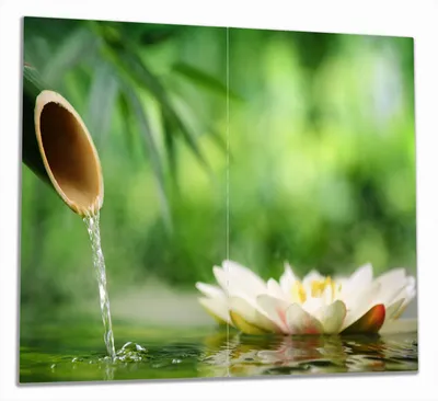 Produktbild von Wallario Herdabdeckplatte aus Glas, Größe 60 x 52 cm 2-teilig, Motiv Seerosen und Bambus auf dem Wasser