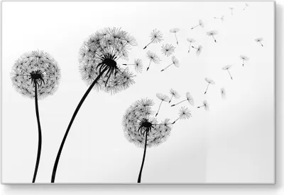 Produktbild von DEQORI Schneidebrett Glas 30x20 cm 'Schwarze Pusteblumen' Schneideplatte groß