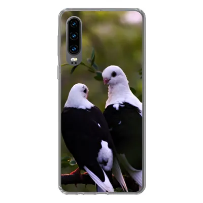 Produktbild von MuchoWow® Handyhülle Schutzhülle Hülle für Huawei P30 Vögel - Zweig - Blätter Silikon Softcase Handy Hülle - Kartenbesitzer