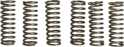 Immagine prodotto di Kit 6 molle frizione EBC CSK069 per Suzuki SV