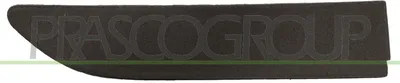 Immagine prodotto di Copertura paraurti - Gancio di traino BLIC 5513-00-0095921P