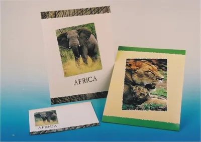 Produktbild von Briefpapier Set Mappe 10 Blatt & 10 Briefumschläge mit Elephantenmotiv