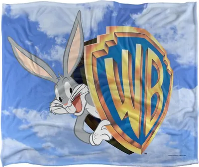 Immagine prodotto di Warner Bros - Coperta con logo "Vault", setosa e morbida TV25329 (taglia unica) (Blu/Grigio/Oro)