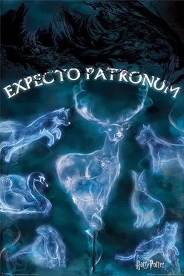Zdjęcie produktu dla Plakat Harry Potter Patronus 61x91.5cm