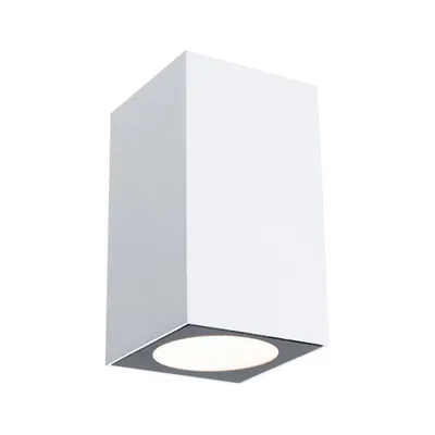 Produktbild von Paulmann Flame, Wandbeleuchtung für den Außenbereich, Weiß, Aluminium, IP44, Fassade, I