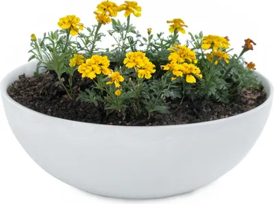 Produktbild von Runde bauchige 20 cm Pflanzschale für draussen, hell-grau marmoriert