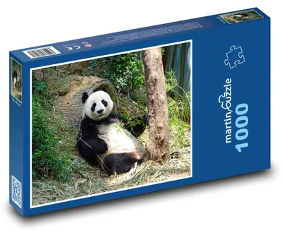 Zdjęcie produktu dla martinpuzzle - Puzzle 1000 elementów - Panda w lesie