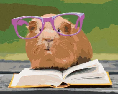 Produktbild von Zuty - Malen nach Zahlen - MEERSCHWEINCHEN MIT BRILLE LIEST EIN BUCH, 40x50 cm, ohne Keilrahmen