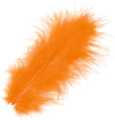 Produktbild von KNORR PRANDELL 216619100 Marabufedern ca. 10 cm orange
