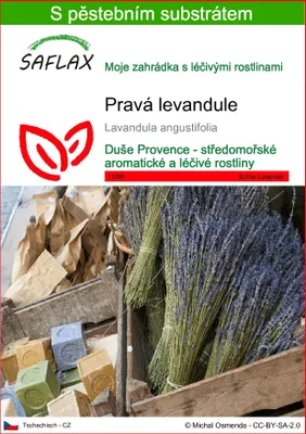 Obrázek produktu pro SAFLAX - pravá levandule - Lavandula angustifolia - 150 Semena - S pěstebním substrátem bez klíčků