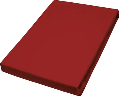 Produktbild von Vario Jersey-Spannbetttuch rot, 100 x 200 cm