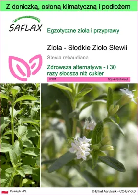 Zdjęcie produktu dla SAFLAX - Garden to go - Zioła - Słodkie Zioło Stewii - 100 Nasiona - Z doniczką, pokrywą klimatyczną i podłożem do uprawy - Stevia rebaudiana