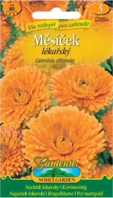 Immagine prodotto di Calendula