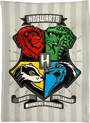 Produktbild von Harry Potter Decke für Kinder Fleece-Decke 130 x 170 cm