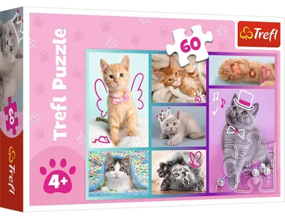 Produktbild von AAO Süße Kätzchen Kinder Puzzle 60 Teile Bild