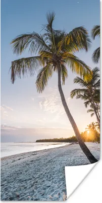 Produktbild von MuchoWow® Poster Strand - Sonnenuntergang - Palme 20x40 cm - Plakat - Foto