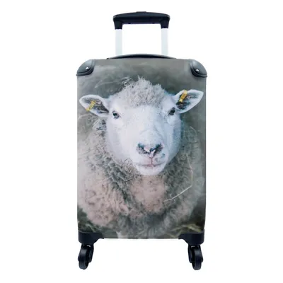 Obrázek produktu pro Kufr Příruční zavazadlo na kolečkách Malý cestovní kufr na 4 kolečkách Ovce - Zvířata - Skot - Velikost kabiny < 55x40x23 cm a 55x40x20 cm -