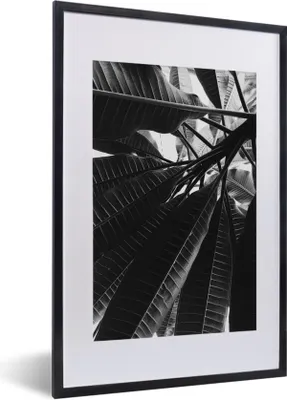 Produktbild von MuchoWow® Gerahmtes Poster Palmenblatt - Tropisch 40x60 cm - Poster mit Schwarzem Bilderrahmen Wandposter Rahmen Foto Bilder - Poster in Rahmen