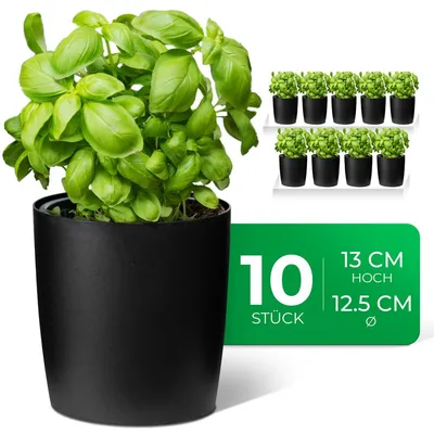 Produktbild von Novaliv Stilvolle 10er Set Kräutertopf aus Kunststoff Schwarz für jede Fensterbank, frische Küchenkräuter, Kräutergarten für die küche, Kräuterbeet indoor, Zimmerpflanzen, Pflanzentopf, Pflanzschale
