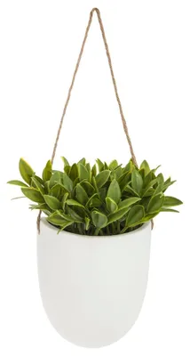 Produktbild von Atmosphera Jj1680 Hanging Blumentopf Grün  Grün One Size