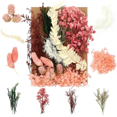 Produktbild von Trockenblumen Set Rosa-Grün für Basteln & Deko