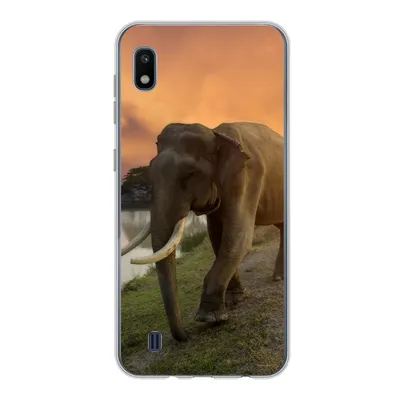 Produktbild von MuchoWow® Handyhülle Schutzhülle Hülle für Samsung Galaxy A10 Elefant - Wasser - Tiere - Sonnenuntergang - Natur Silikon Softcase Handy Hülle - Schutzhülle
