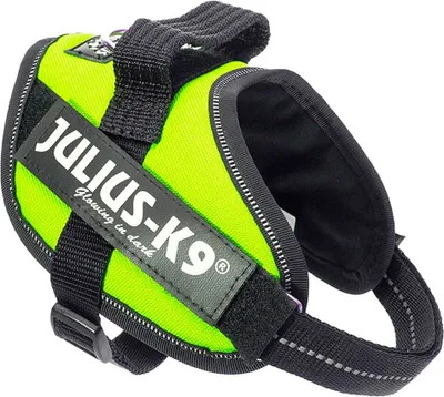 Image de Julius K9 IDC Power harnais Mini Mini vert fluo 16IDC-NE-MM