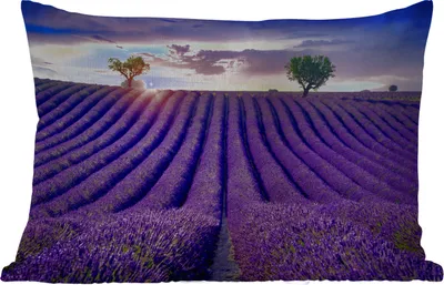 Produktbild von MuchoWow® Outdoor Kissen - Lavendel - Hügel - Sonnenuntergang - Bpmen - Lila - 60x40 cm - Wetterfest - Lounge Kissen - Zierkissen - Kissen für Innenräume