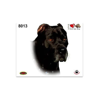 Obrázok produktu pre Nálepka Hund Corso 14 x 16 cm