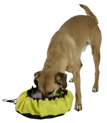 Zdjęcie produktu dla Mata węchowa dla psa Bowl, Ø 60 cm, Kerbl