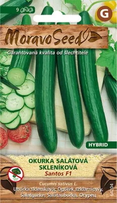 Zdjęcie produktu dla Ogórek szklarniowy SANTOS F1 MoravoSeed