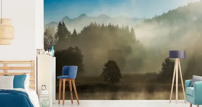 Produktbild von Fototapete Vlies Tapete Wald im Nebel 450 cm (B) x 300 cm (H) Wandbild Wanddeko